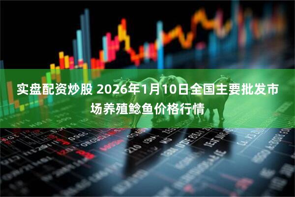 实盘配资炒股 2026年1月10日全国主要批发市场养殖鲶鱼价格行情