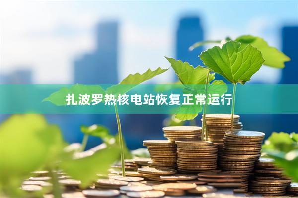 扎波罗热核电站恢复正常运行