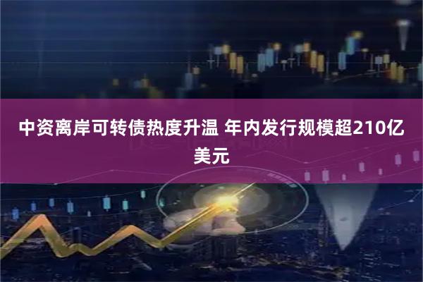 中资离岸可转债热度升温 年内发行规模超210亿美元